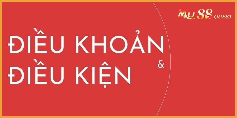 Tìm hiểu điều kiện điều khoản là gì?